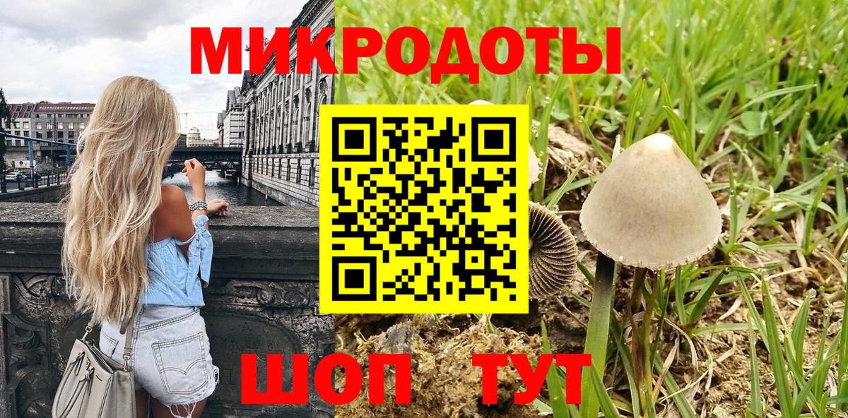 Галлюциногенные грибы Psilocybe  Псилоцибиновые грибы MAGIC MUSHROOMS  Вход с VPN  Острогожск 